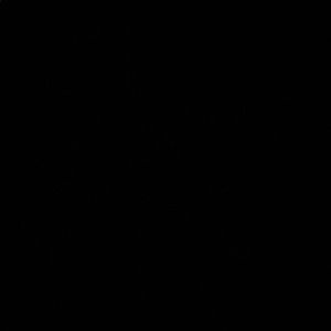 Meet your Posher, Daniela